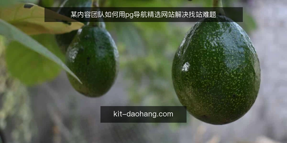 某内容团队如何用pg导航精选网站解决找站难题 — 场景:找站成为每日负担 配图