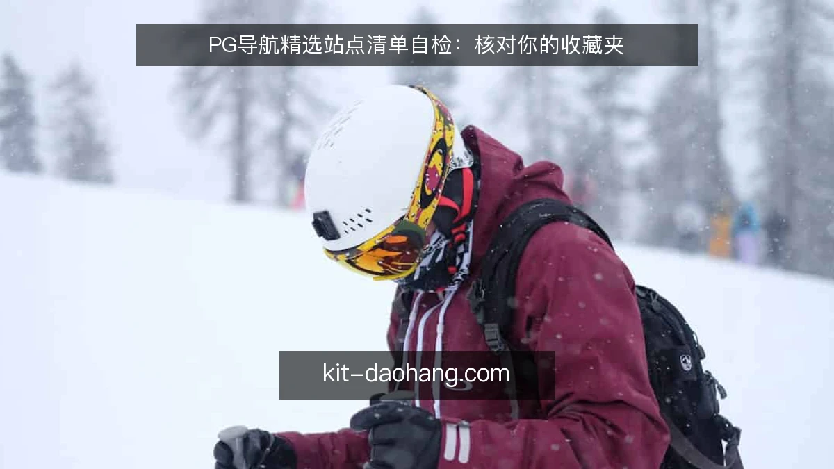 PG导航精选站点清单自检:核对你的收藏夹
