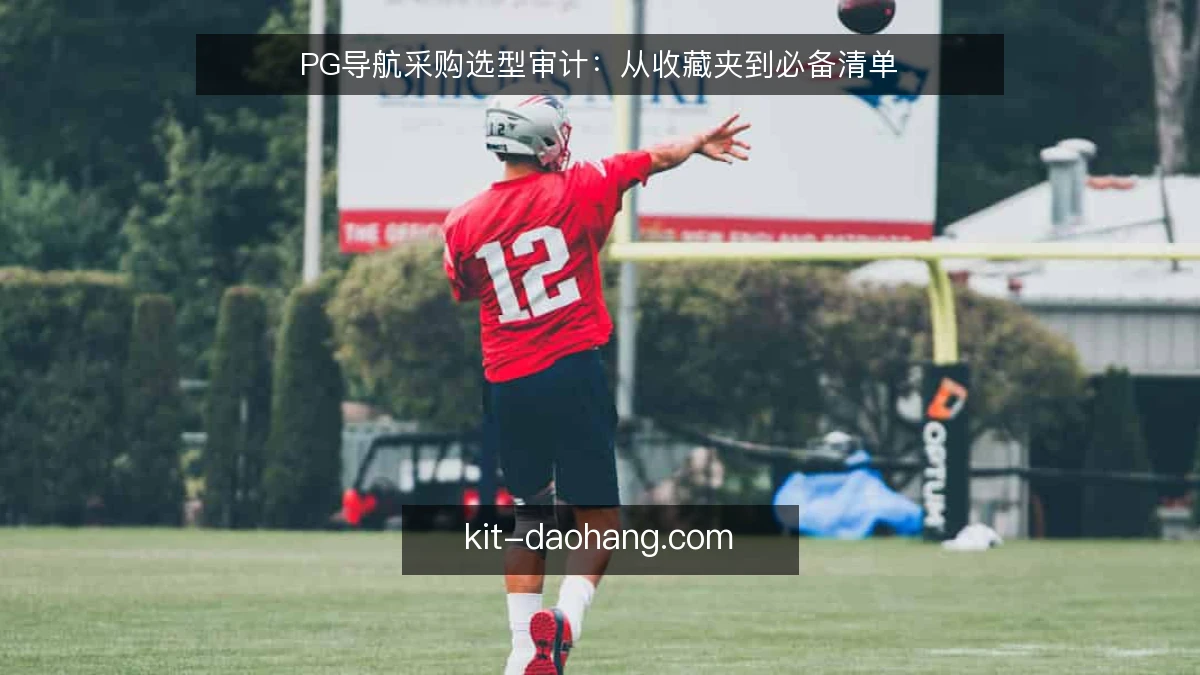 PG导航采购选型审计:从收藏夹到必备清单