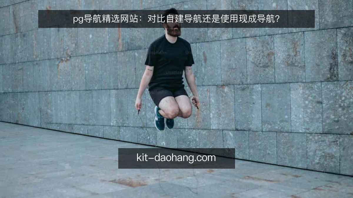 pg导航精选网站:对比自建导航还是使用现成导航?