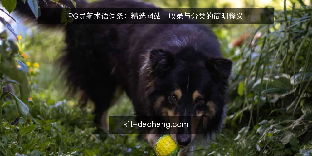 PG导航术语词条：精选网站、收录与分类的简明释义 — PG导航与精选网站：先厘清两个基础词条 配图