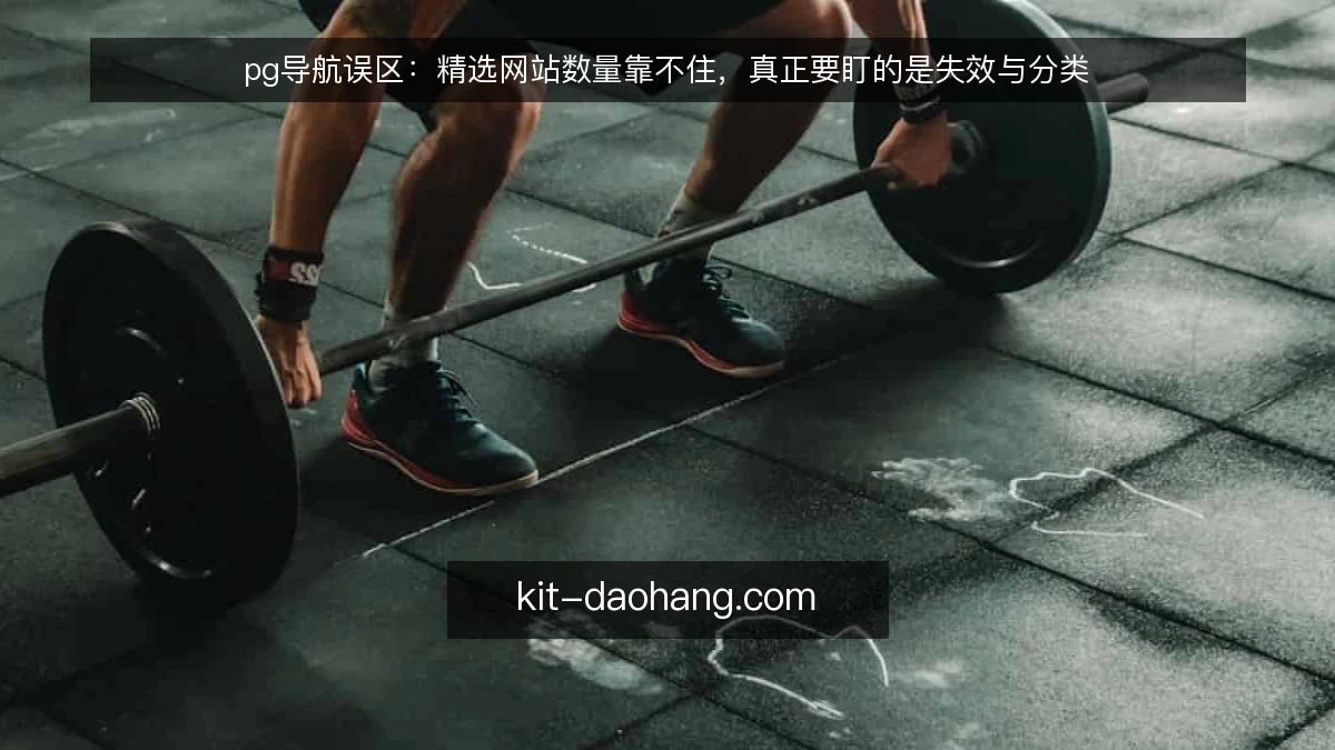 pg导航误区:精选网站数量靠不住,真正要盯的是失效与分类