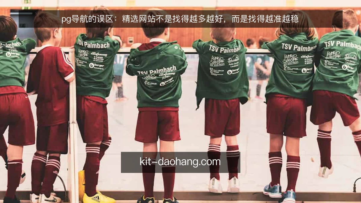 pg导航的误区：精选网站不是找得越多越好，而是找得越准越稳